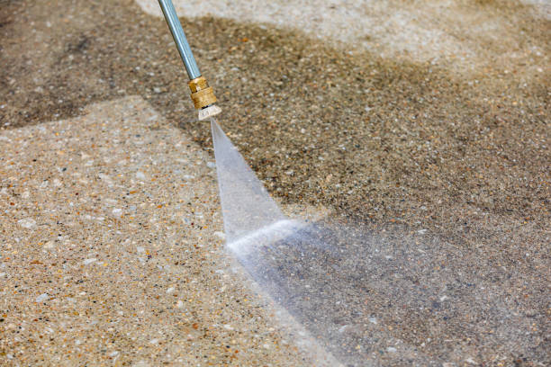 Best Animal Enclosure Cleaning  in Westwood, NJ